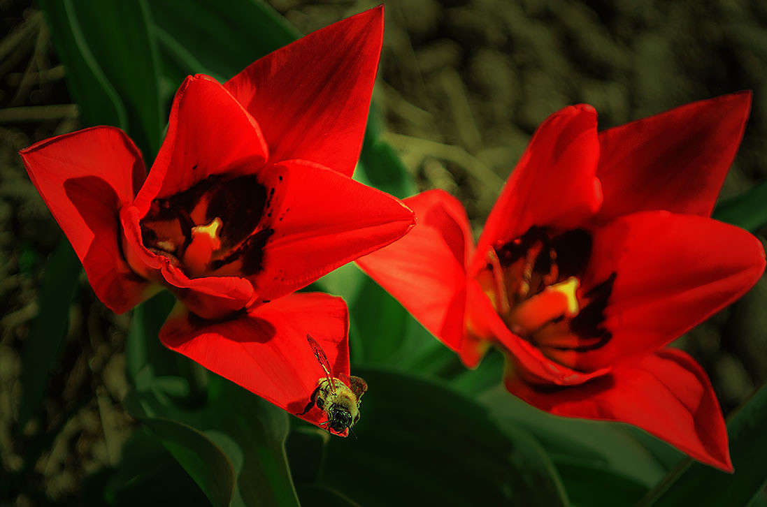 ����������� ����� ������ ���������� �� PhotoGeek.ru #������ ��� ������� #���������