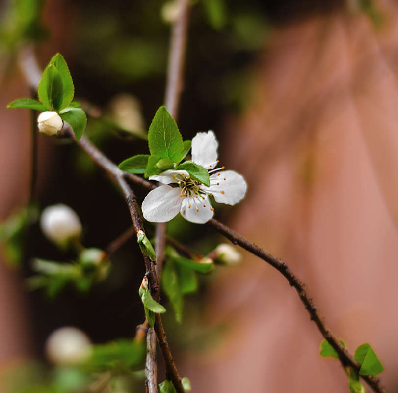 ))))) ����� ������ ���������� �� PhotoGeek.ru #������ ��� �������