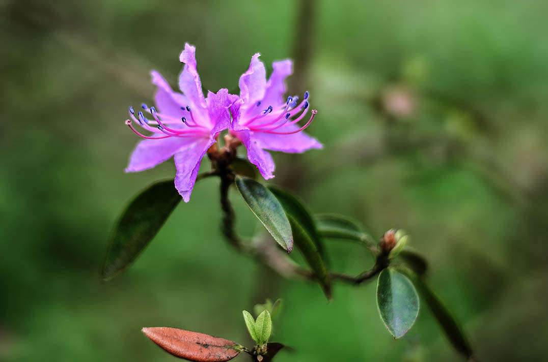 )))))) ����� ������ ���������� �� PhotoGeek.ru #������ ��� ������� #���������