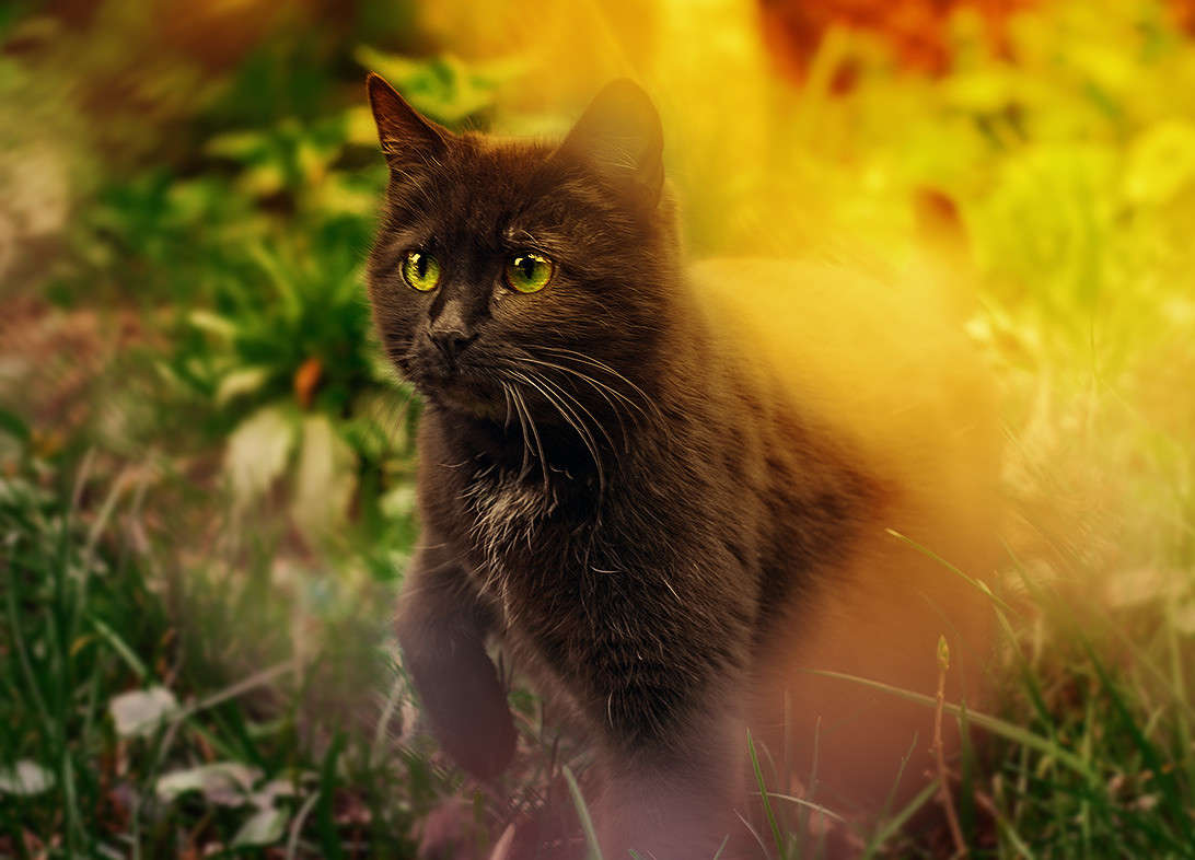 ���� ����� ������ ���������� �� PhotoGeek.ru #�������� ��� #�������� ���