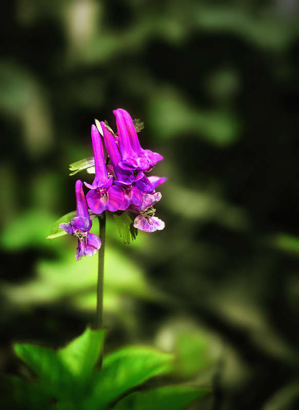 )))))) ����� ������ ���������� �� PhotoGeek.ru #������ ��� ������� #���������