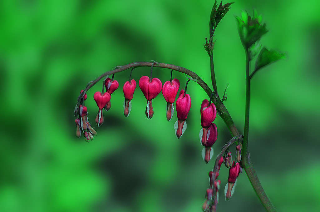 ))))) ����� ������ ���������� �� PhotoGeek.ru #������ ��� ������� #���������