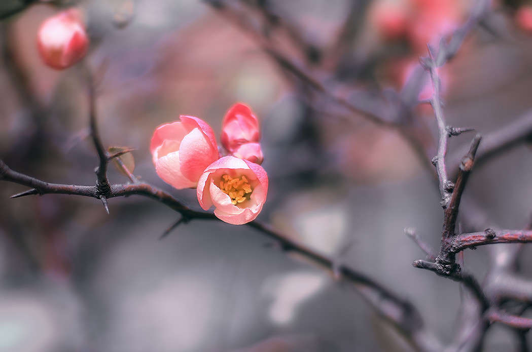 )))) ����� ������ ���������� �� PhotoGeek.ru #������ ��� ������� #���������