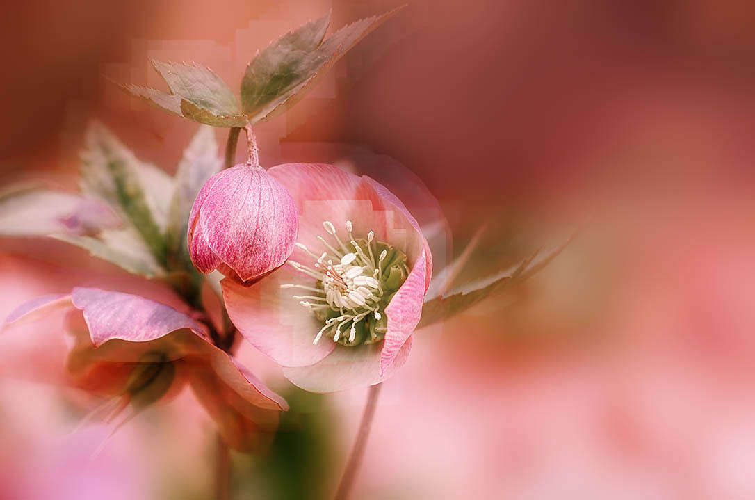 ))))) ����� ������ ���������� �� PhotoGeek.ru #������ ��� ������� #���������