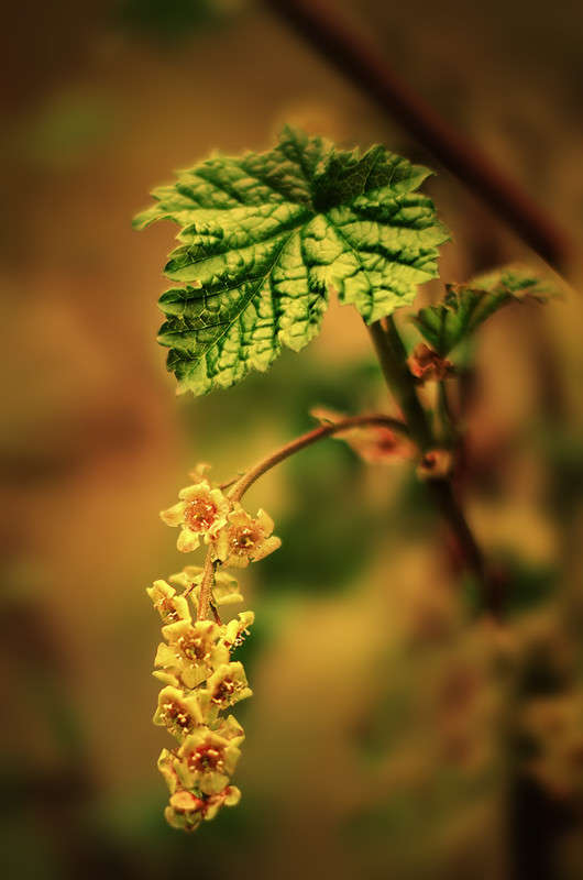 )))))) ����� ������ ���������� �� PhotoGeek.ru #������ ��� ������� #���������