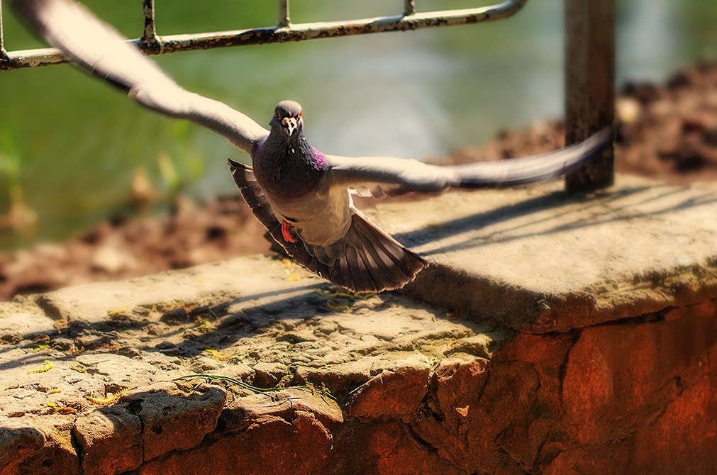����� ����� ������ ���������� �� PhotoGeek.ru #�������� ���