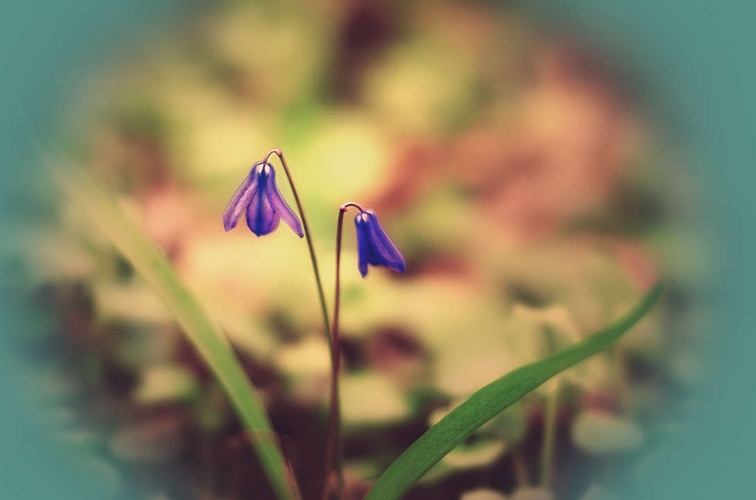 _____ ����� ������ ���������� �� PhotoGeek.ru #������ ��� �������