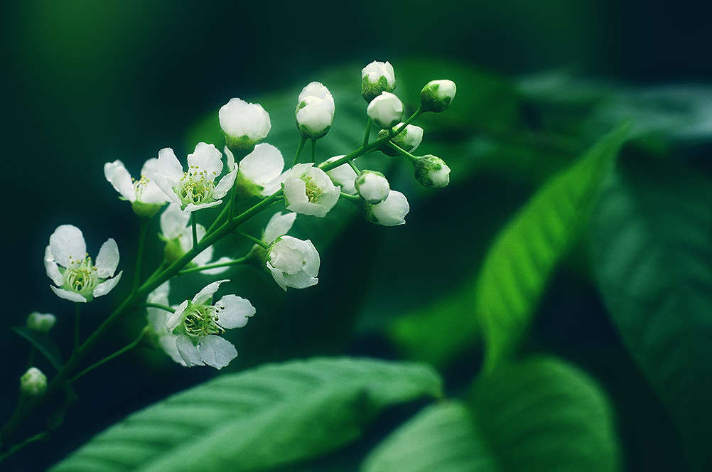 ))))) ����� ������ ���������� �� PhotoGeek.ru #������ ��� �������