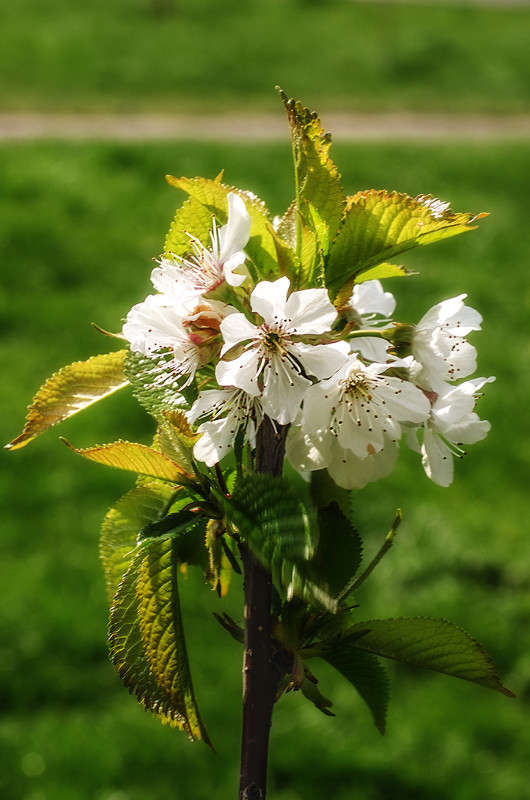 )))))) ����� ������ ���������� �� PhotoGeek.ru #������ ��� ������� #���������