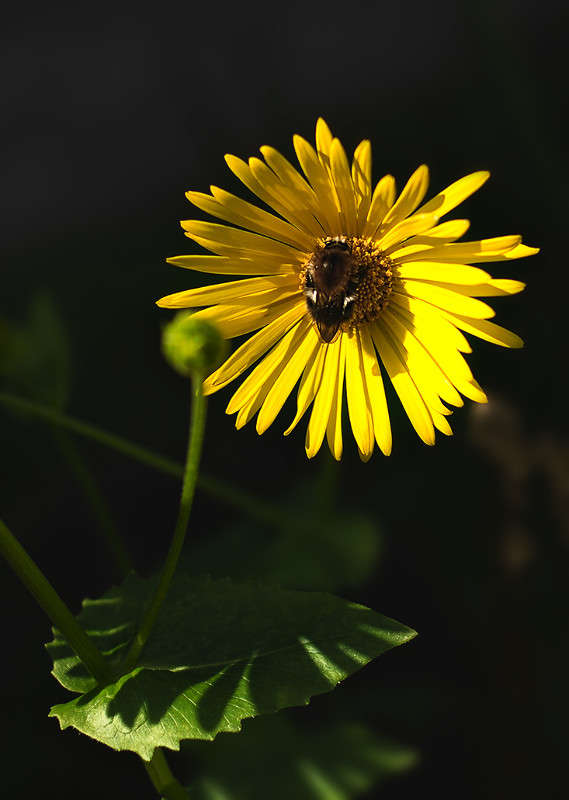 )))))) ����� ������ ���������� �� PhotoGeek.ru #������ ��� ������� #���������