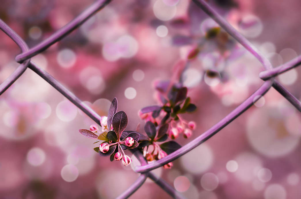 )))) ����� ������ ���������� �� PhotoGeek.ru #������ ��� ������� #���������