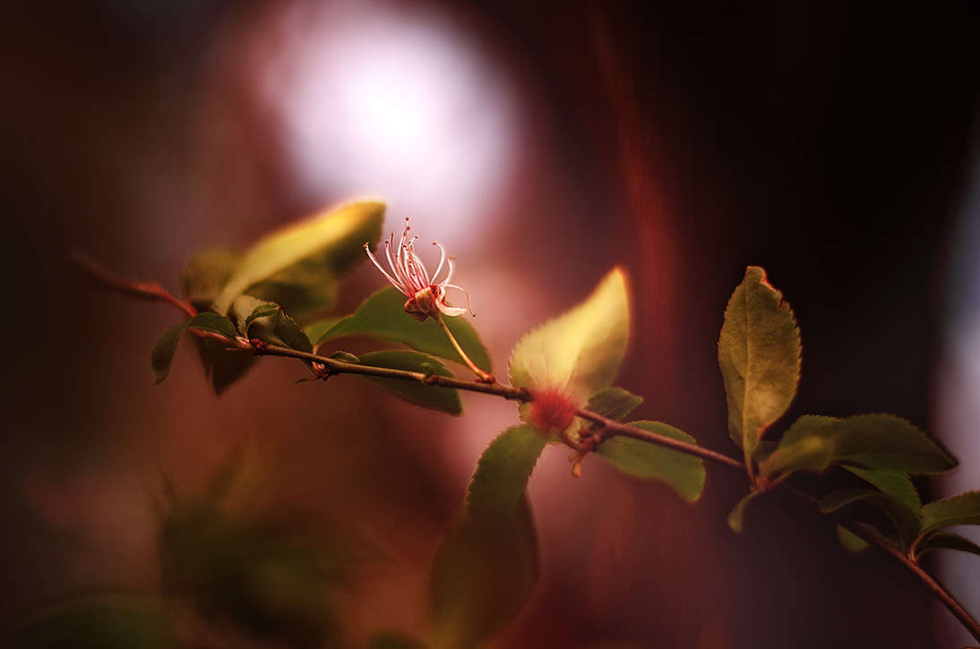 ))))) ����� ������ ���������� �� PhotoGeek.ru #������ ��� ������� #���������