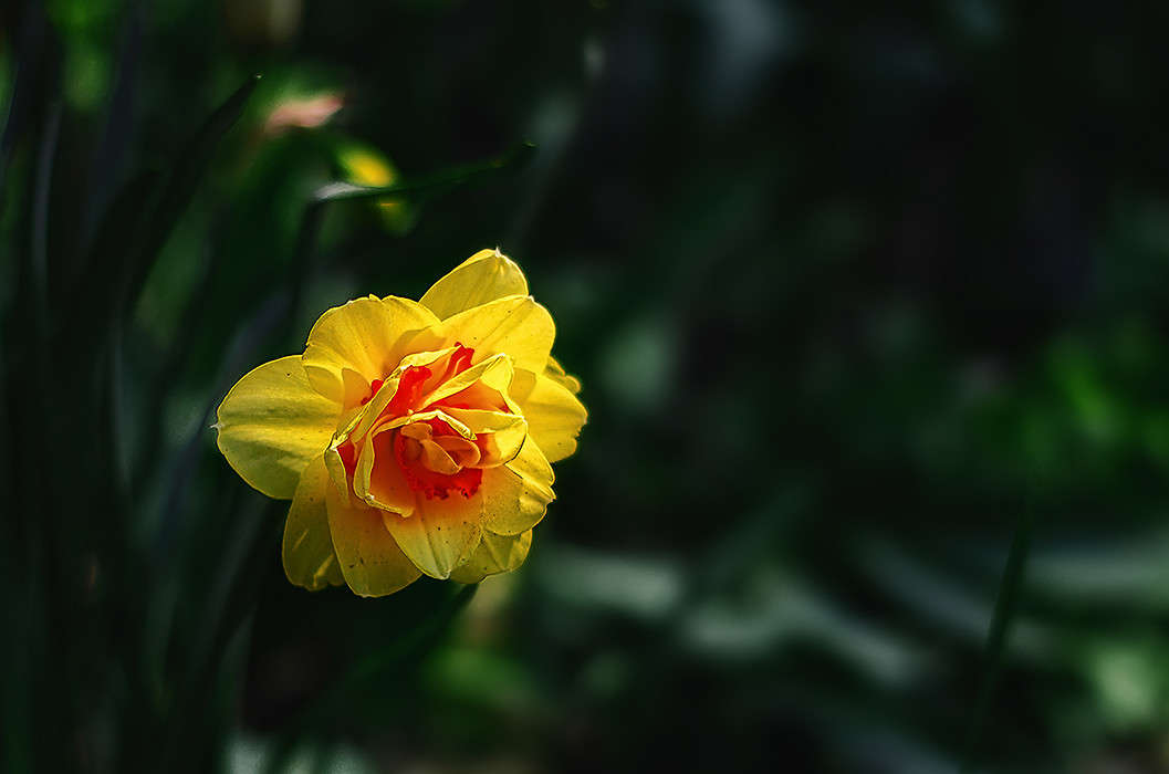 ))))) ����� ������ ���������� �� PhotoGeek.ru #������ ��� ������� #���������