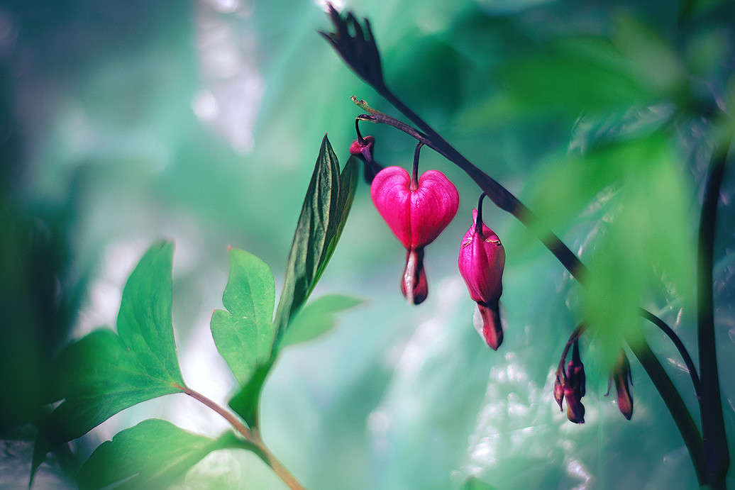 ))))) ����� ������ ���������� �� PhotoGeek.ru #������ ��� ������� #���������