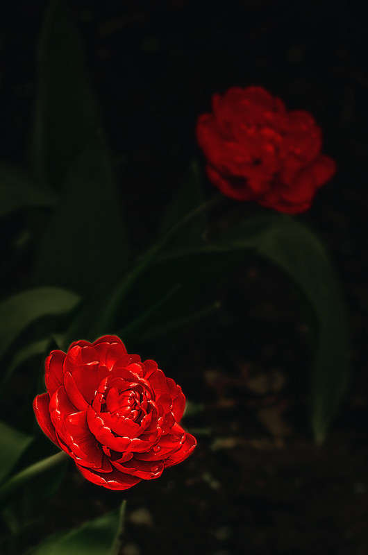 ))))) ����� ������ ���������� �� PhotoGeek.ru #������ ��� ������� #���������