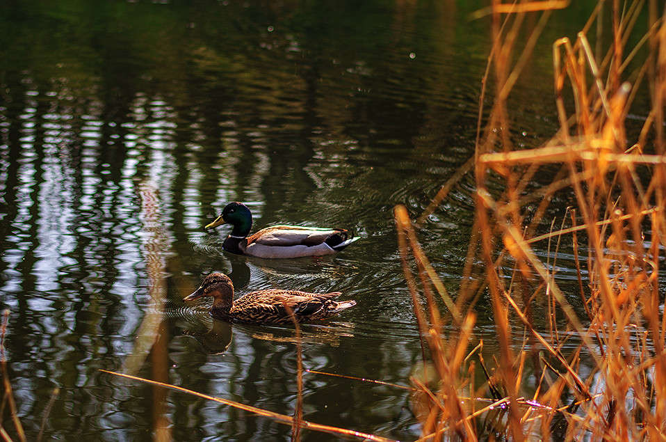 ������ ����� ������ ���������� �� PhotoGeek.ru #������ ��� ������� #���������