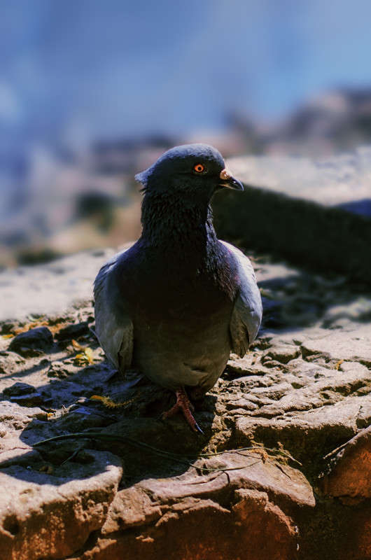 ����� ���� ����� ������ ���������� �� PhotoGeek.ru #�������� ��� #����� ��� ��� ���������