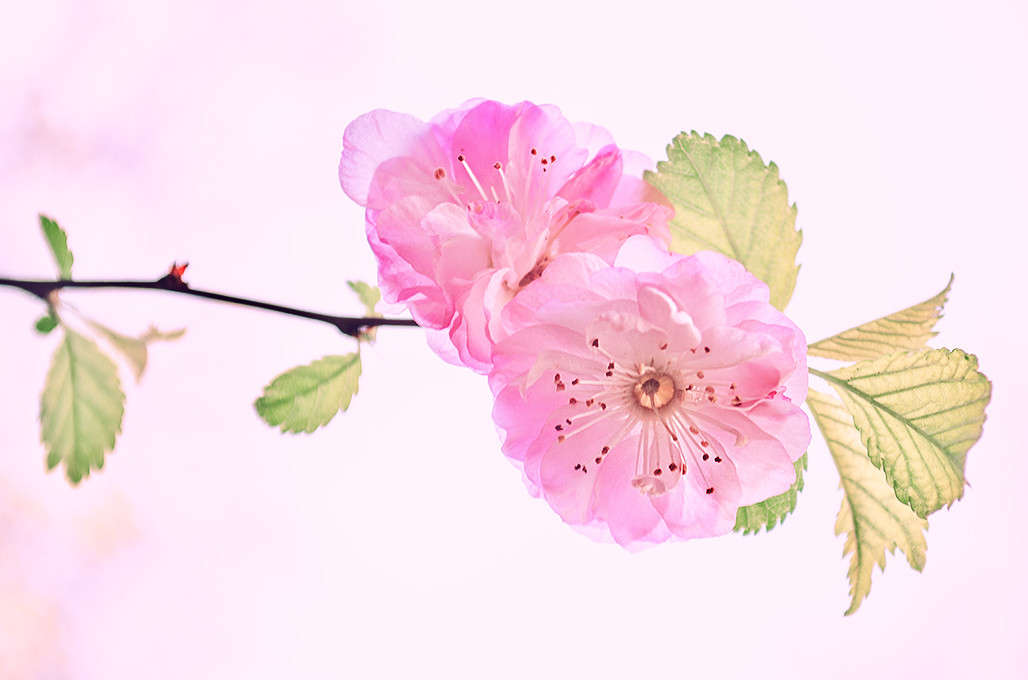 )))) ����� ������ ���������� �� PhotoGeek.ru #������ ��� ������� #���������