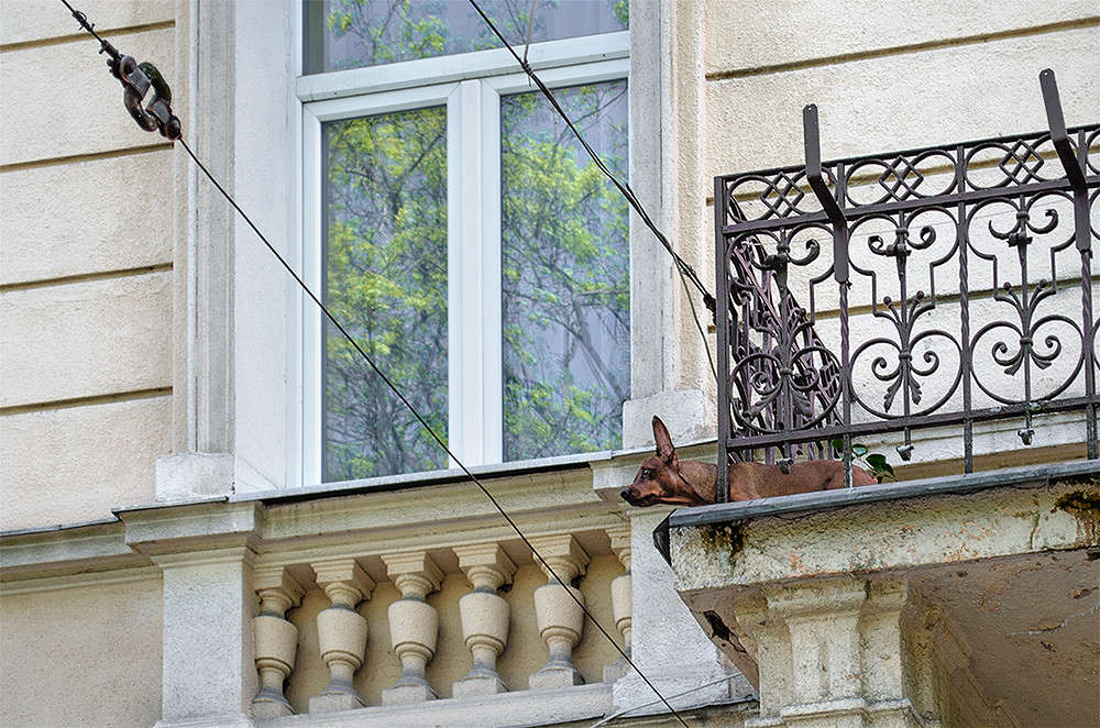 � �� �������� ������ ������� ����� ������ ���������� �� PhotoGeek.ru #�������� ����������