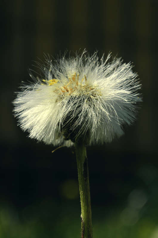 ����� ���� ����� ������ ���������� �� PhotoGeek.ru #������ ��� ������� #���������