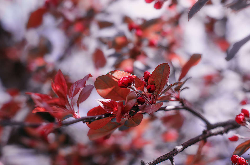 ))))) ����� ������ ���������� �� PhotoGeek.ru #������ ��� ������� #���������