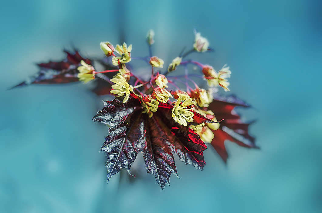 ))))) ����� ������ ���������� �� PhotoGeek.ru #������ ��� ������� #���������