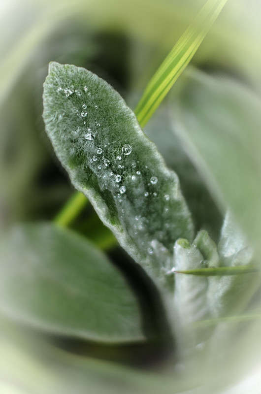 ������ ����� ������ ���������� �� PhotoGeek.ru #������ ��� ������� #���������