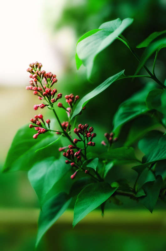 ������ ����� ������ ���������� �� PhotoGeek.ru #������ ��� ������� #���������