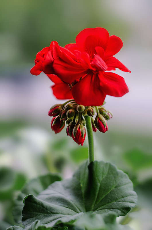 ������ ����� ������ ���������� �� PhotoGeek.ru #������ ��� ������� #���������