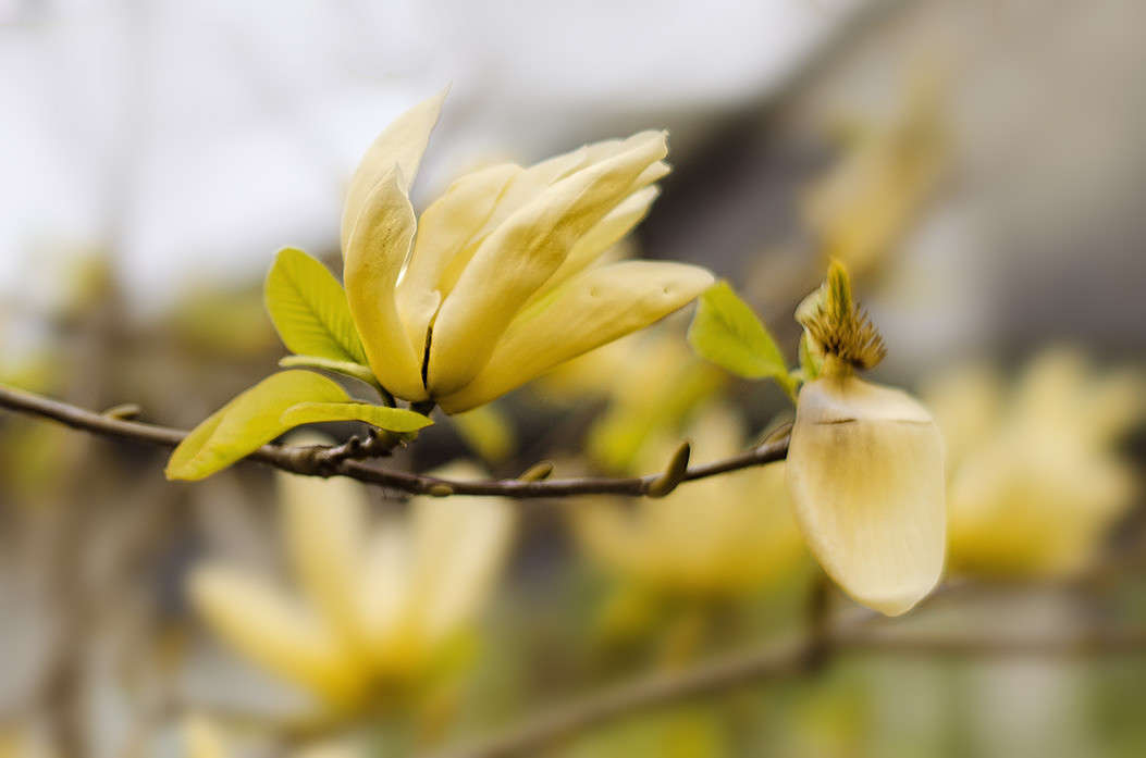 ������ �������� ����� ������ ���������� �� PhotoGeek.ru #������ ��� ������� #���������