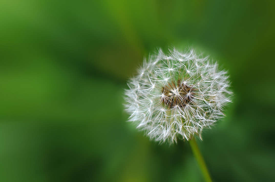��������� ����� ������ ���������� �� PhotoGeek.ru #������ ��� ������� #���������