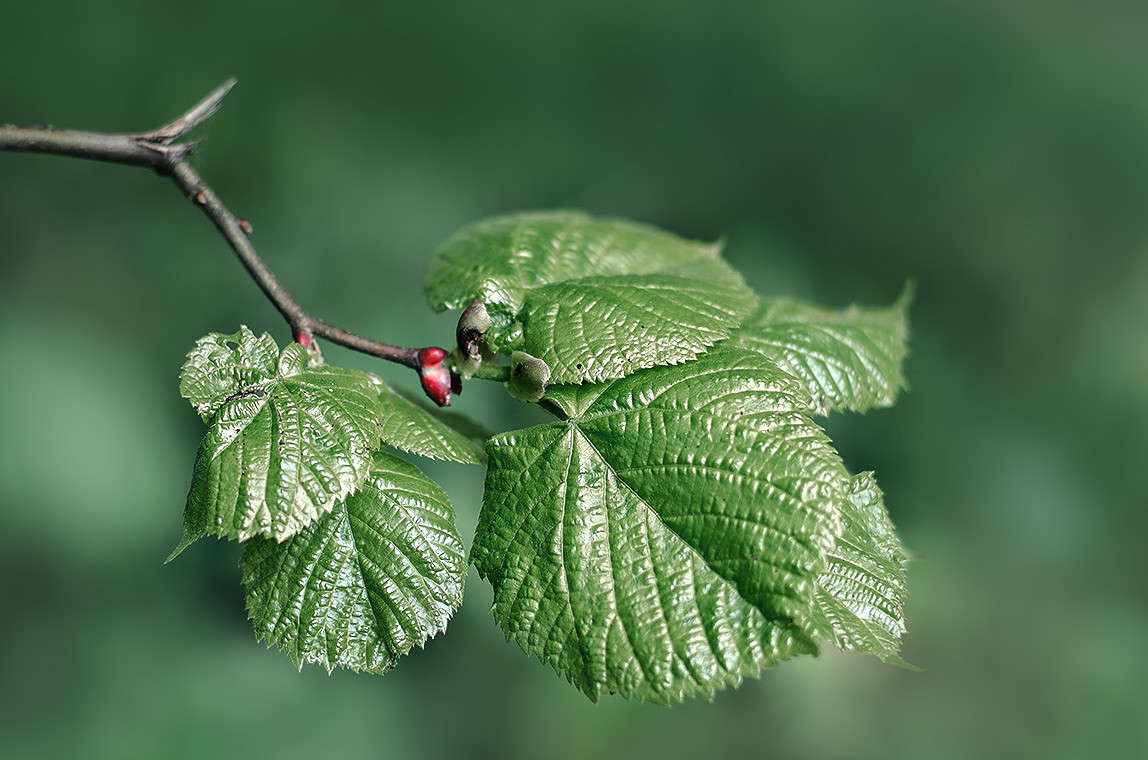 )))) ����� ������ ���������� �� PhotoGeek.ru #������ ��� ������� #���������