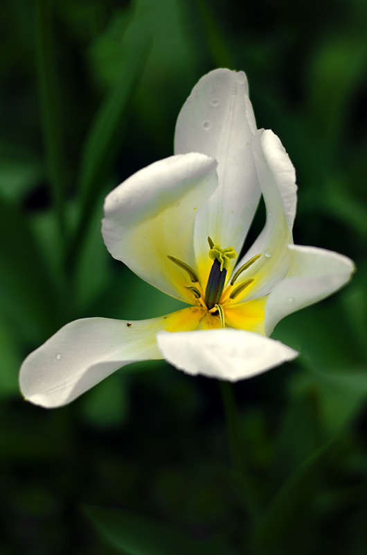 )))) ����� ������ ���������� �� PhotoGeek.ru #������ ��� ������� #���������