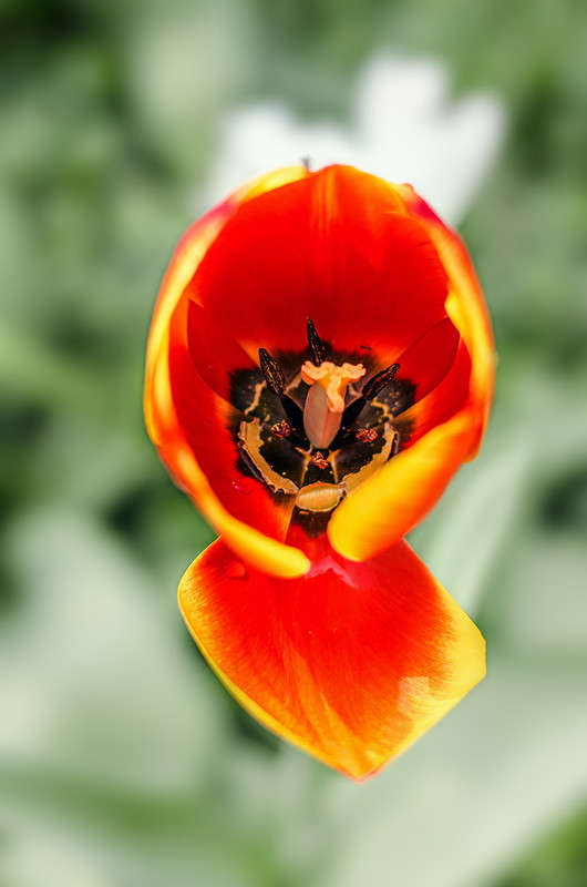 ))))) ����� ������ ���������� �� PhotoGeek.ru #������ ��� ������� #���������