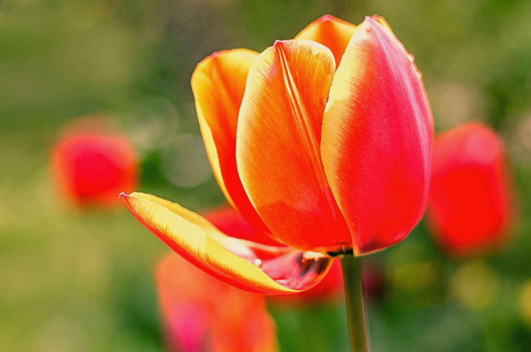 ))))) ����� ������ ���������� �� PhotoGeek.ru #������ ��� ������� #���������