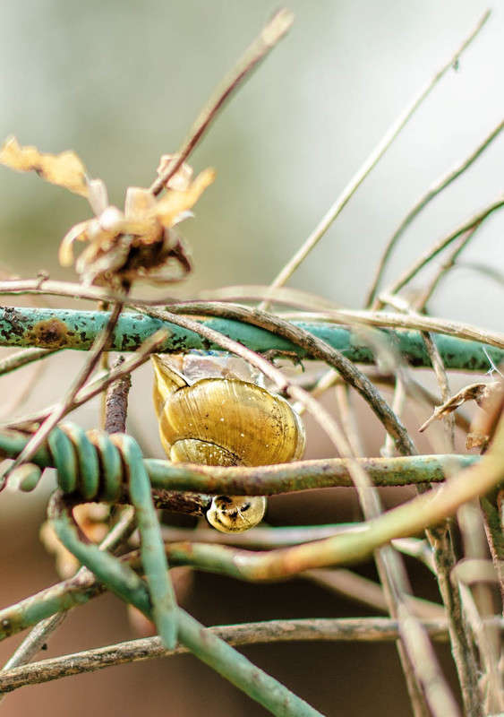 ����������� ����� ������ ���������� �� PhotoGeek.ru #������ ��� ������� #���������