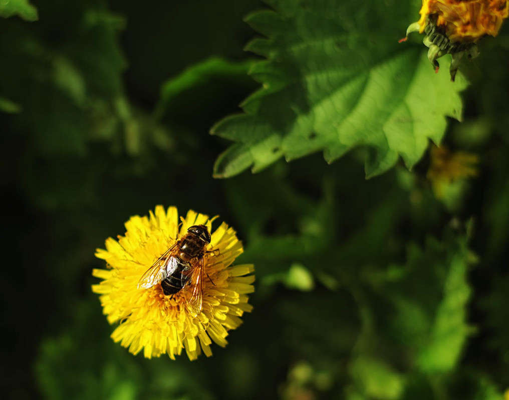 ... ����� ������ ���������� �� PhotoGeek.ru #������ ��� ������� #���������