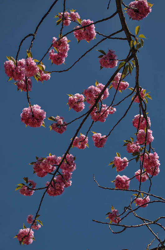 ������ ����� ������ ���������� �� PhotoGeek.ru #������ ��� ������� #����� ��������������