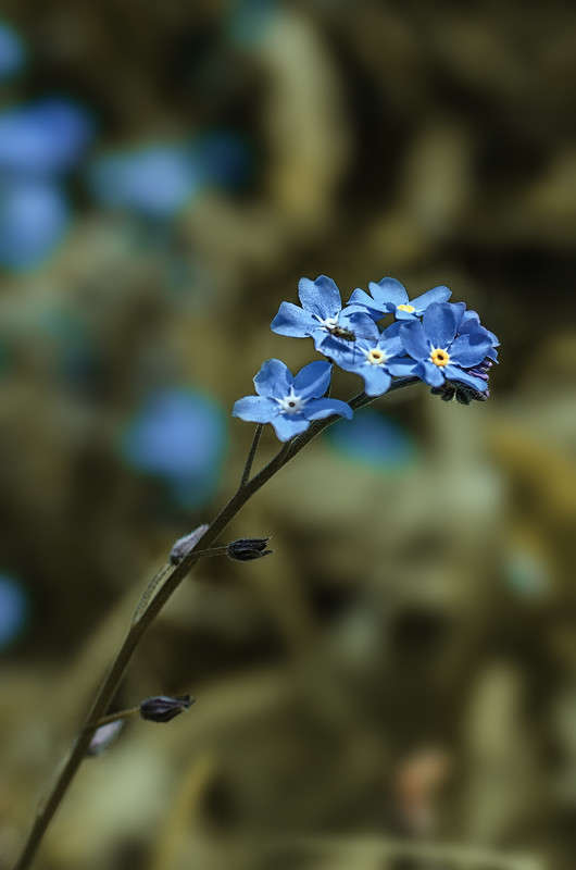 )))) ����� ������ ���������� �� PhotoGeek.ru #������ ��� ������� #���������