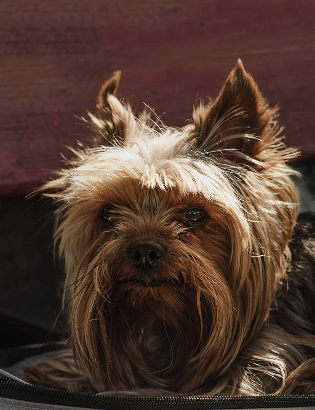 )))) ����� ������ ���������� �� PhotoGeek.ru #�������� ���