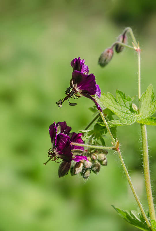 ))) ����� ������ ���������� �� PhotoGeek.ru #������ ��� ������� #���������