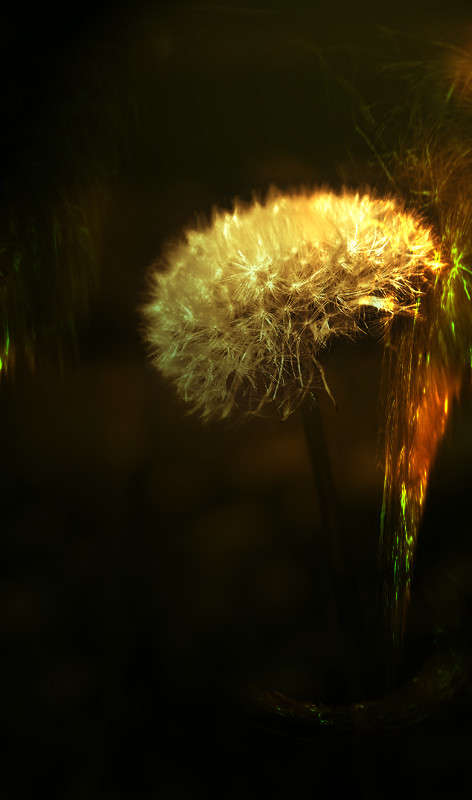 ))) ����� ������ ���������� �� PhotoGeek.ru #������ ��� ������� #���������