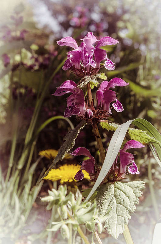 ))))) ����� ������ ���������� �� PhotoGeek.ru #������ ��� ������� #���������