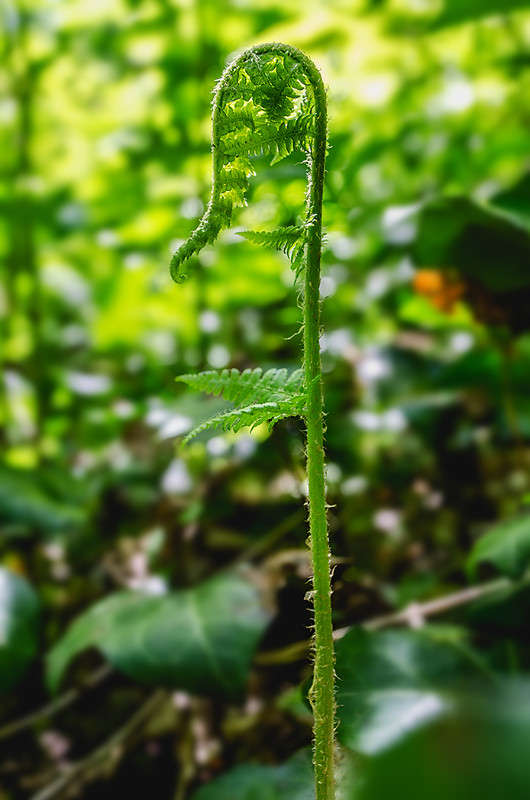 )))) ����� ������ ���������� �� PhotoGeek.ru #������ ��� ������� #���������