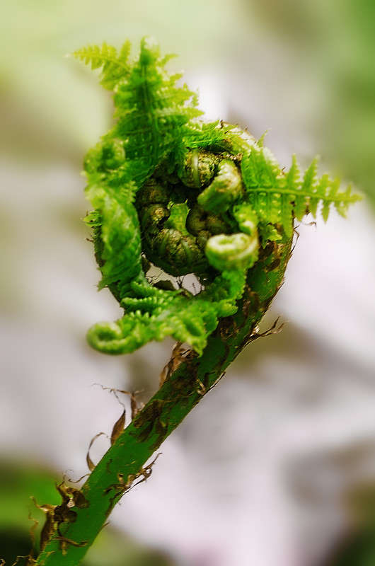 ))) ����� ������ ���������� �� PhotoGeek.ru #������ ��� ������� #���������