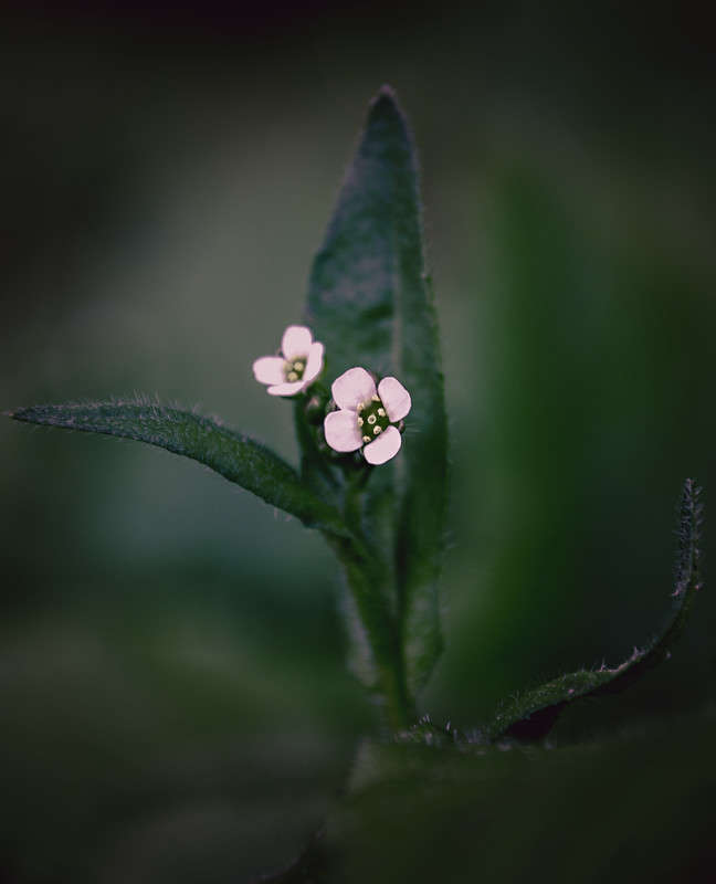 )))) ����� ������ ���������� �� PhotoGeek.ru #������ ��� ������� #���������