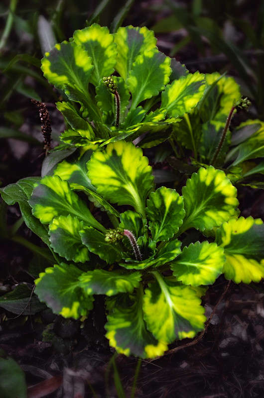 ))) ����� ������ ���������� �� PhotoGeek.ru #������ ��� ������� #���������