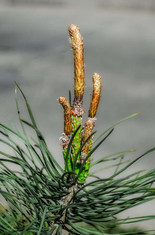 ))) ����� ������ ���������� �� PhotoGeek.ru #������ ��� ������� #���������