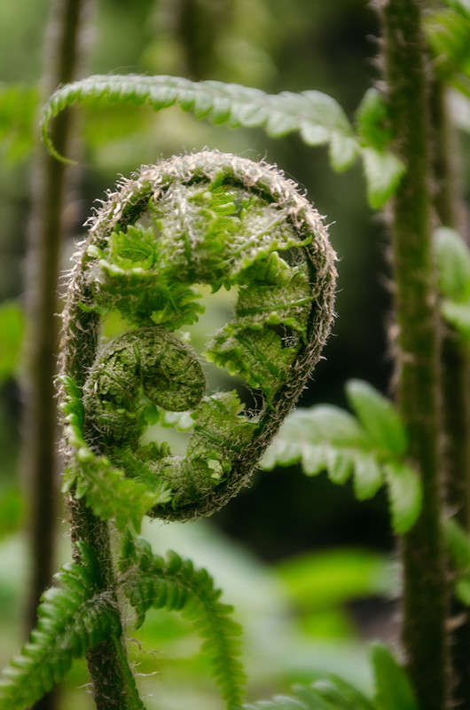 ))))) ����� ������ ���������� �� PhotoGeek.ru #������ ��� ������� #���������