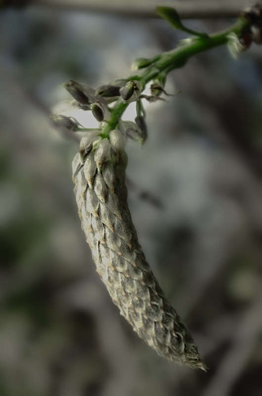 ))))) ����� ������ ���������� �� PhotoGeek.ru #������ ��� ������� #���������